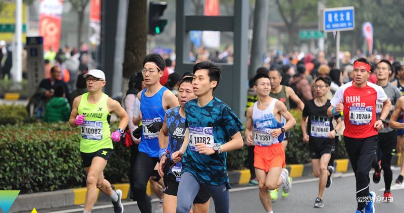 金马升级了，相应的服务应该跟上 － 2019金马赛记