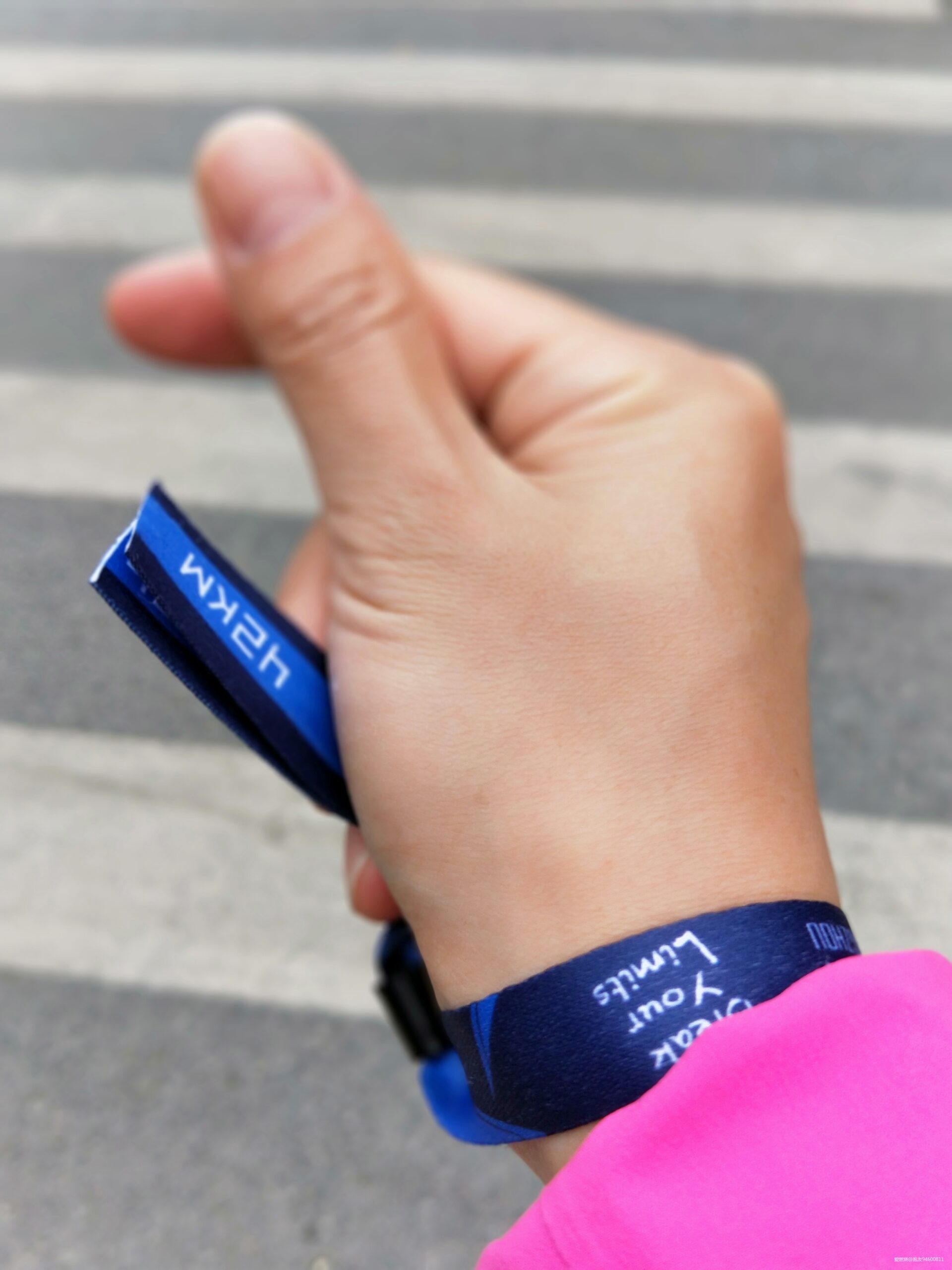 梦里似花今得见，吾心不改终成果