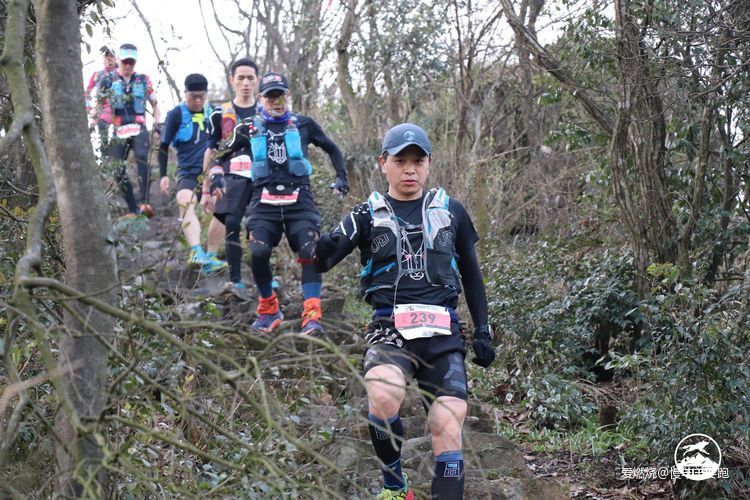 #杭百#碎碎念念的那些台阶路