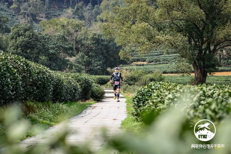 #杭百#碎碎念念的那些台阶路