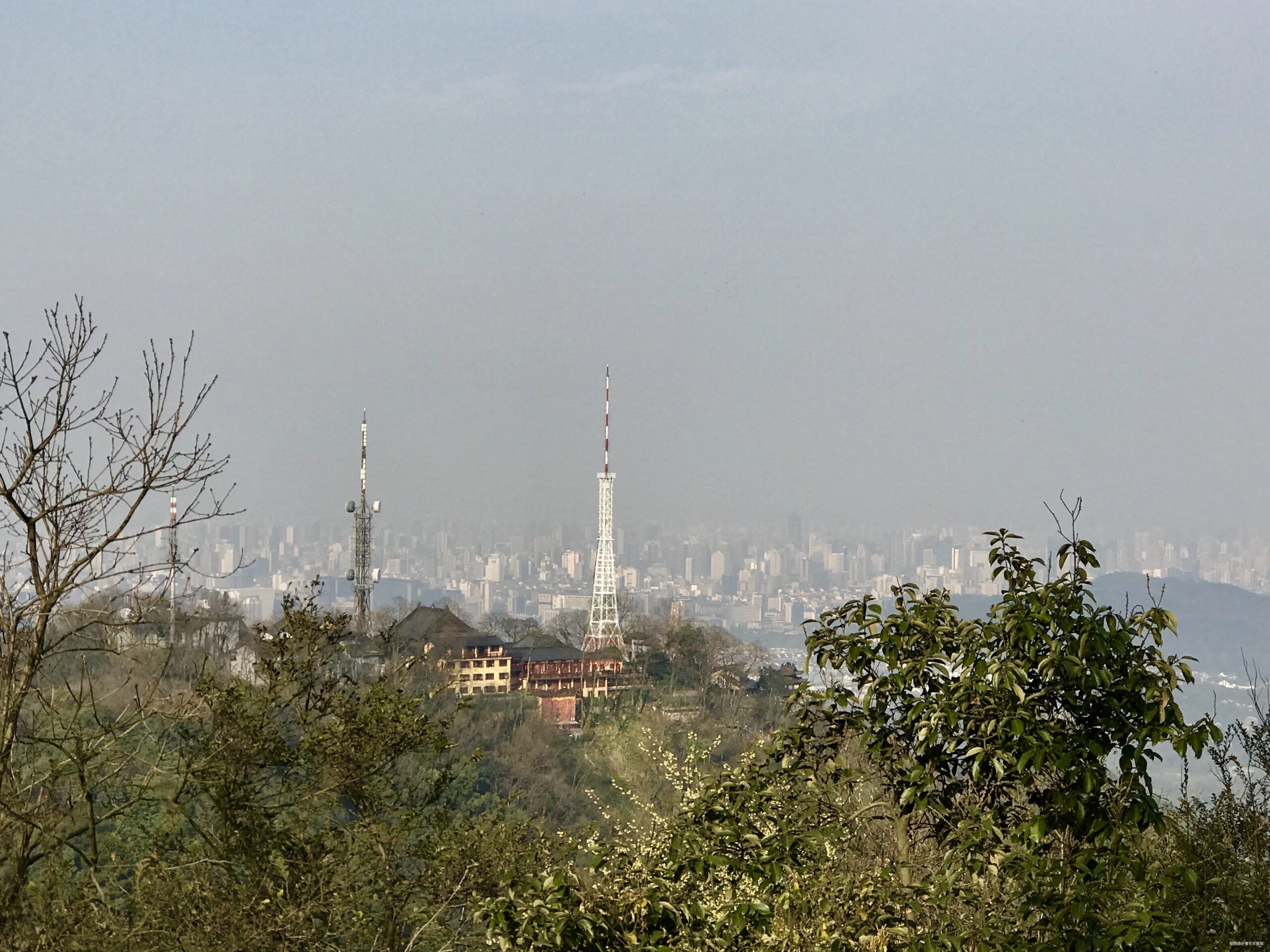 #杭百#碎碎念念的那些台阶路