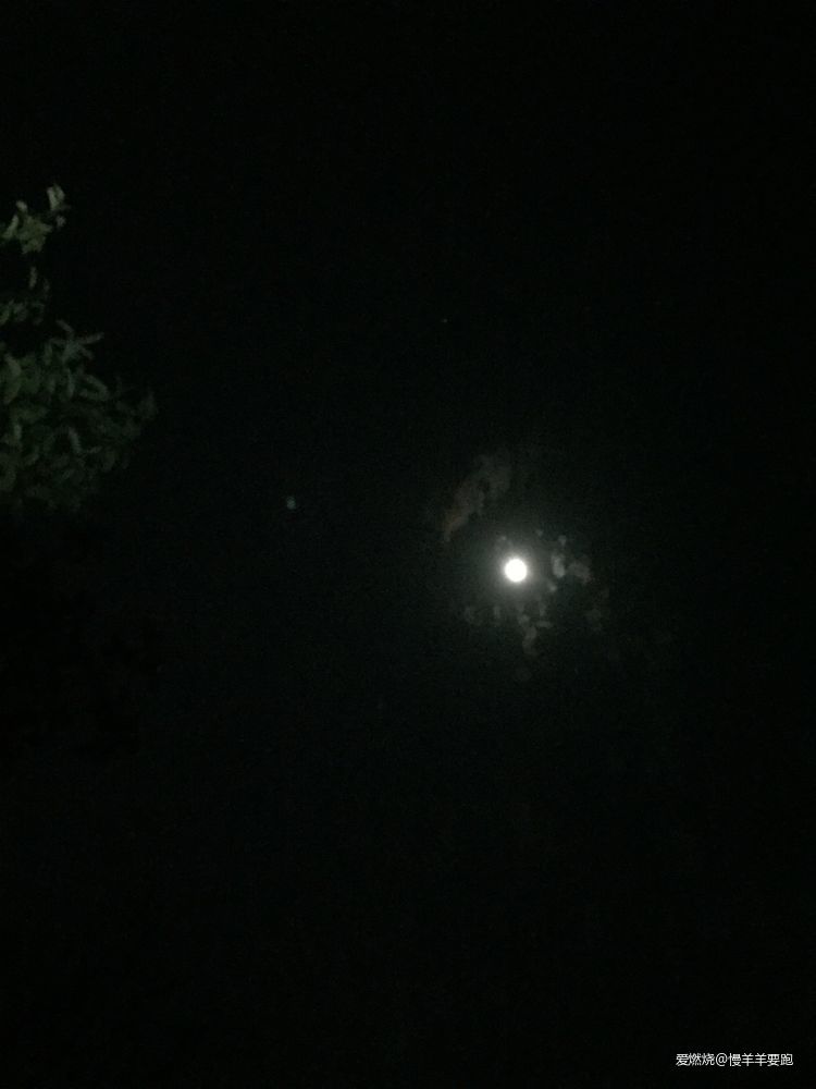 #杭百#碎碎念念的那些台阶路