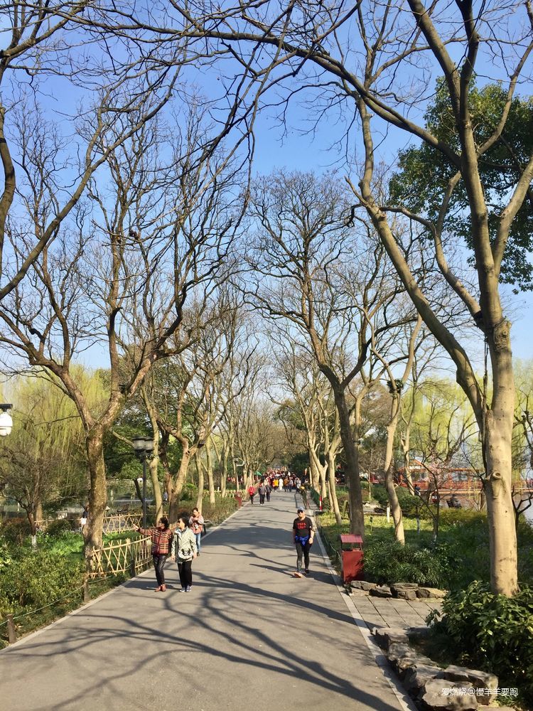 #杭百#碎碎念念的那些台阶路