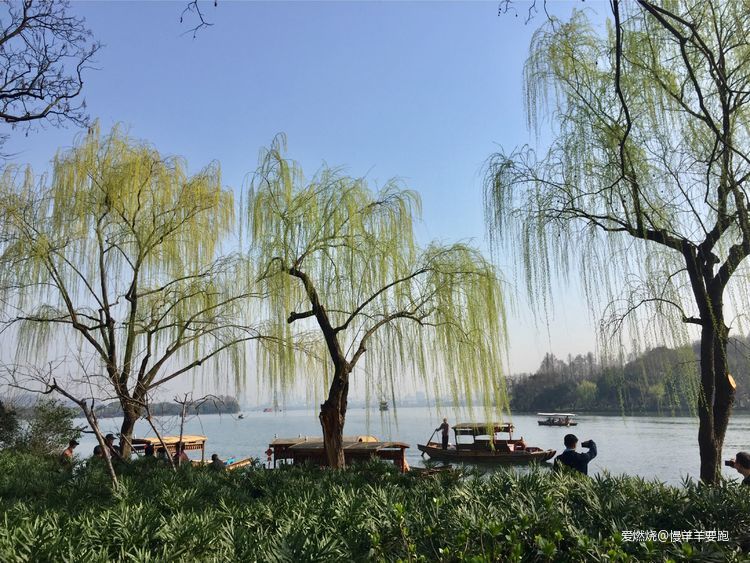 #杭百#碎碎念念的那些台阶路