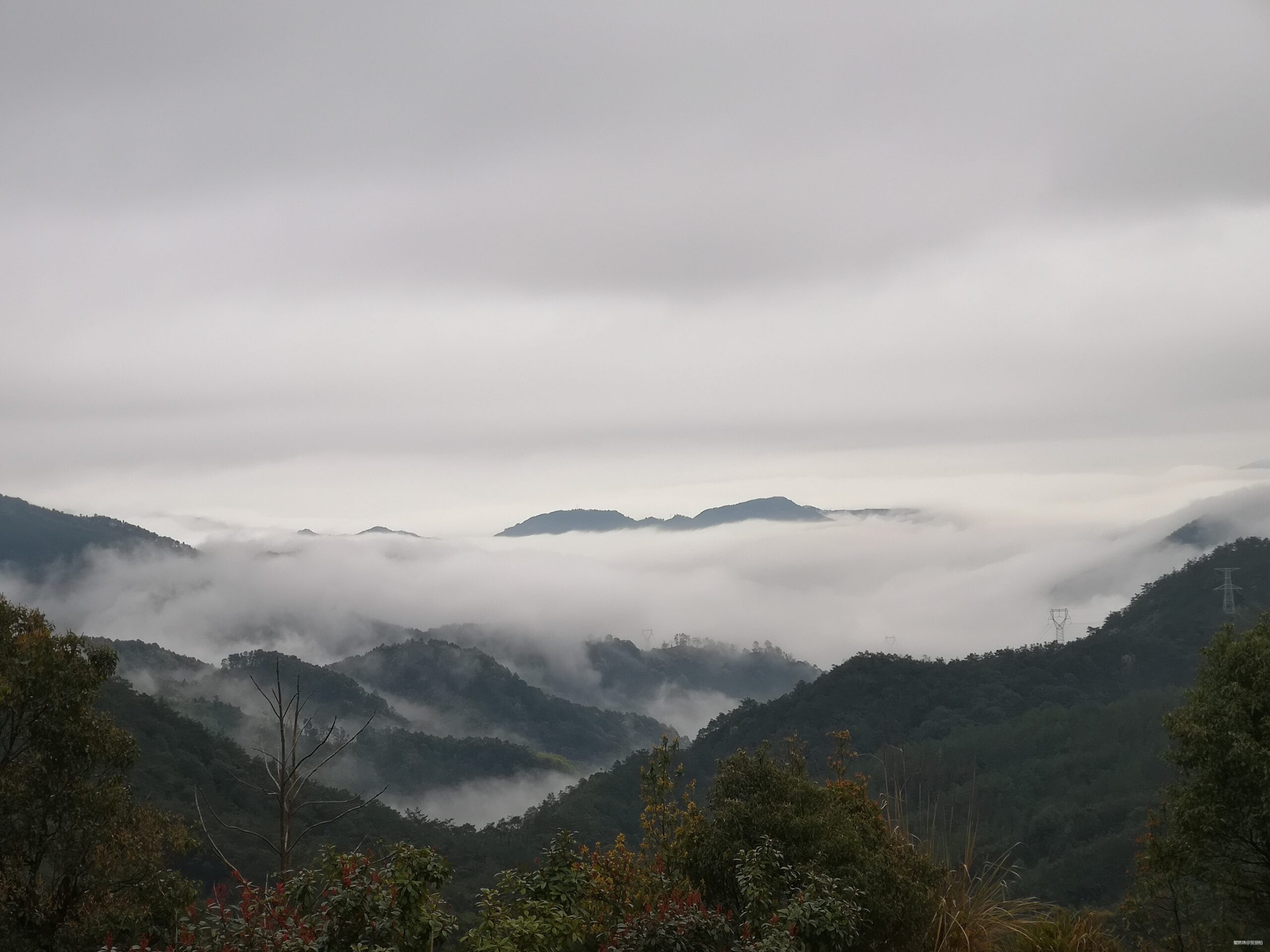节后余生--2019鼓岭山径赛