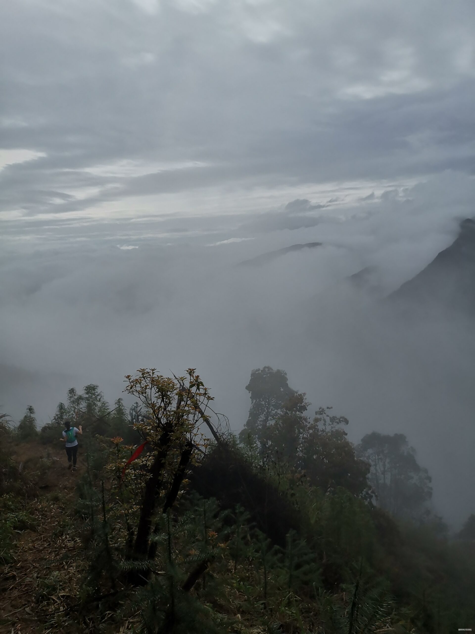 节后余生--2019鼓岭山径赛