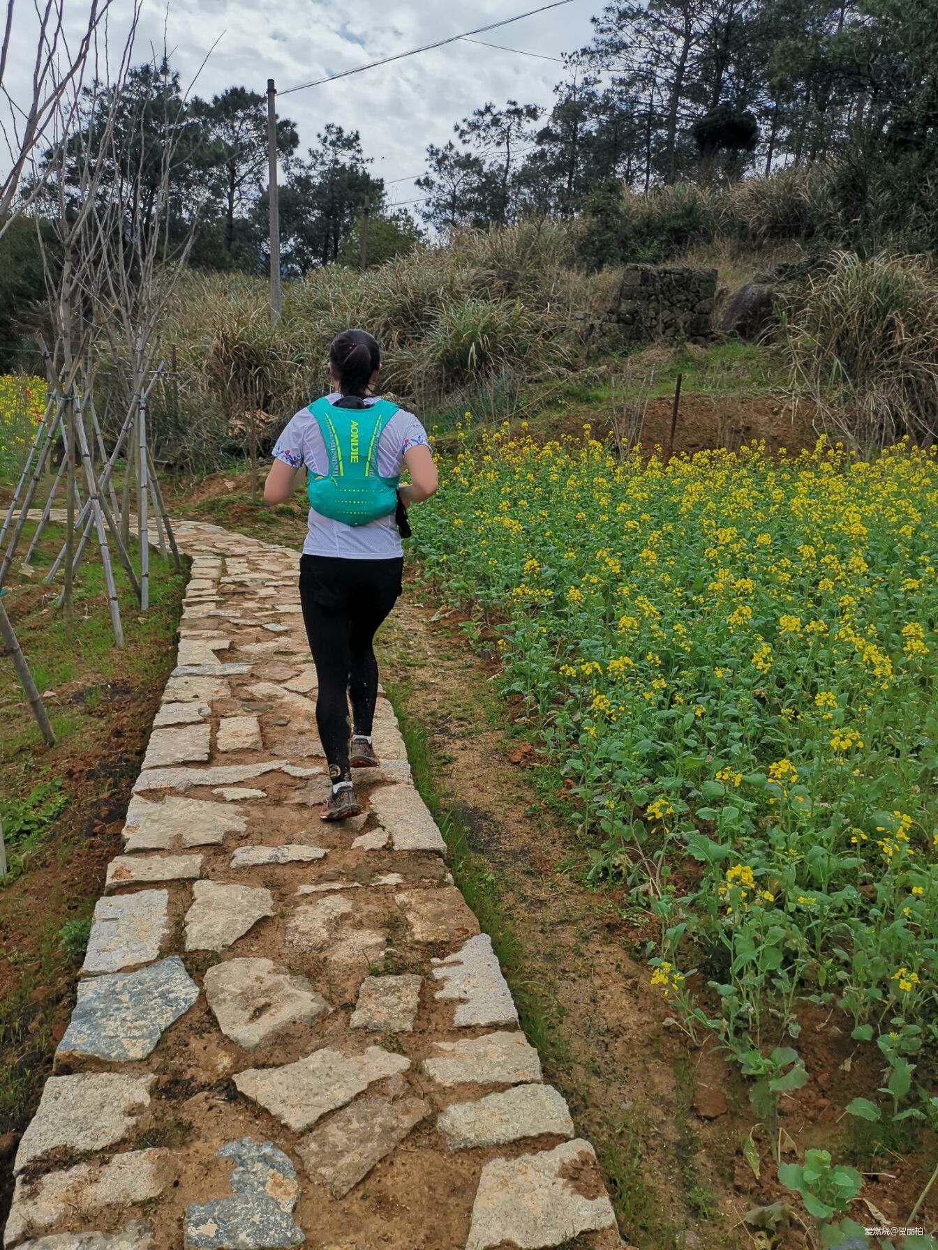 节后余生--2019鼓岭山径赛