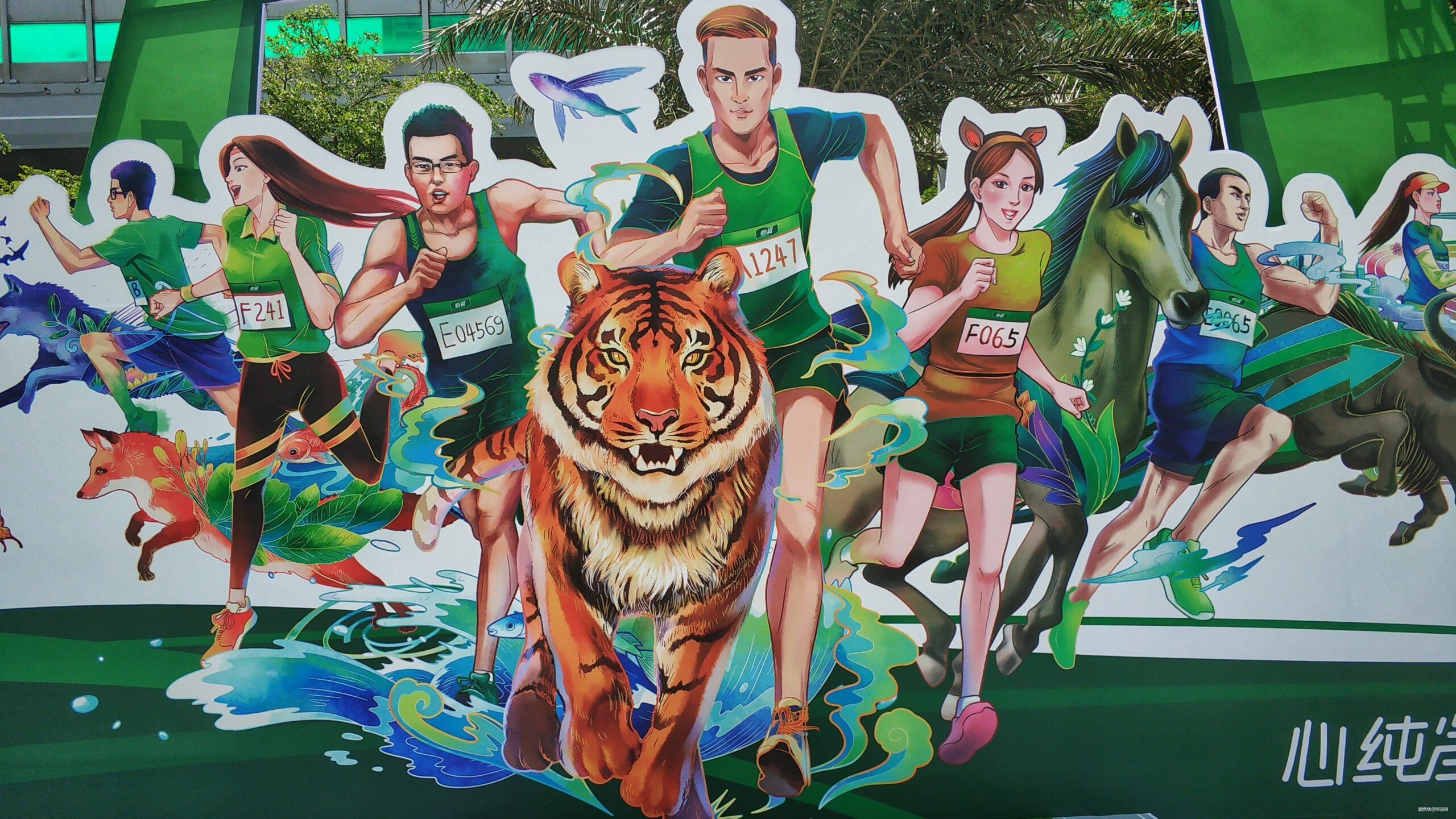 海口的诗和远方与星沉大海