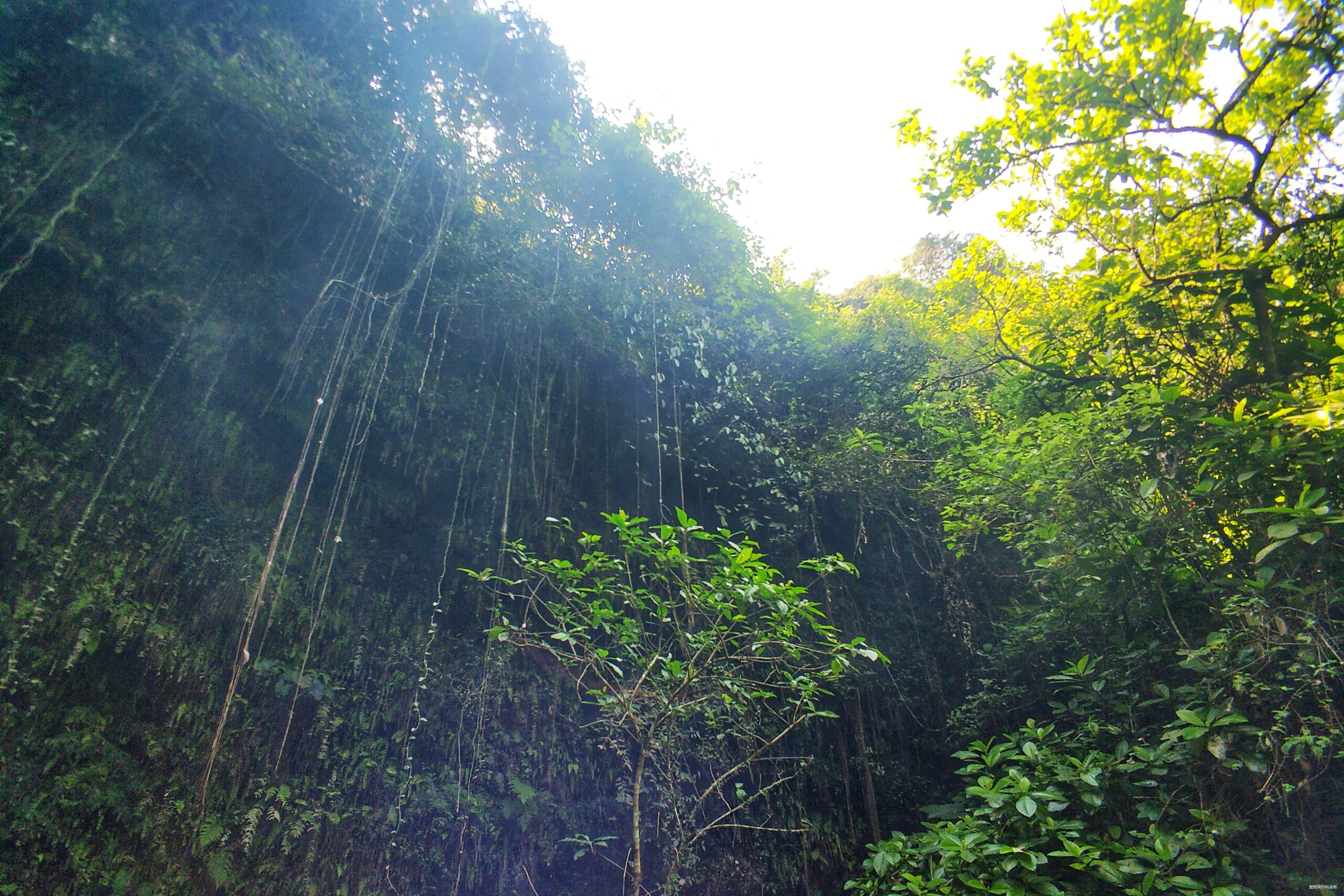 海口的诗和远方与星沉大海
