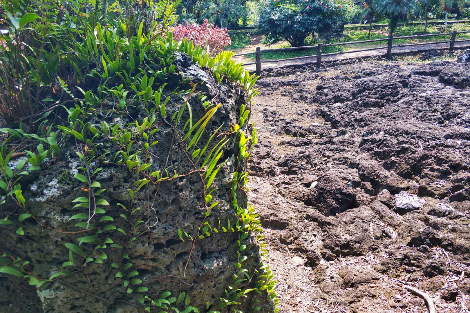 海口的诗和远方与星沉大海