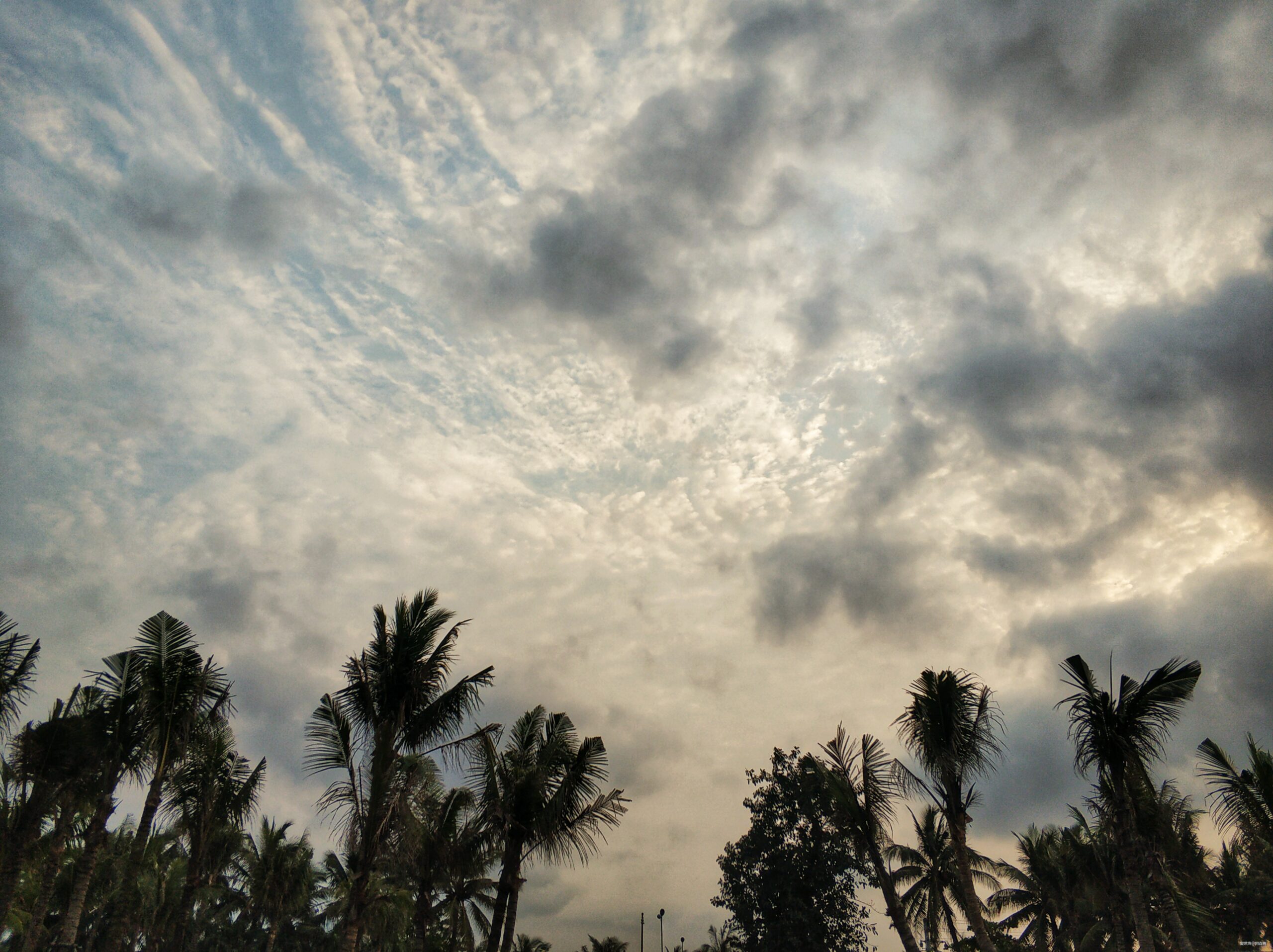 海口的诗和远方与星沉大海