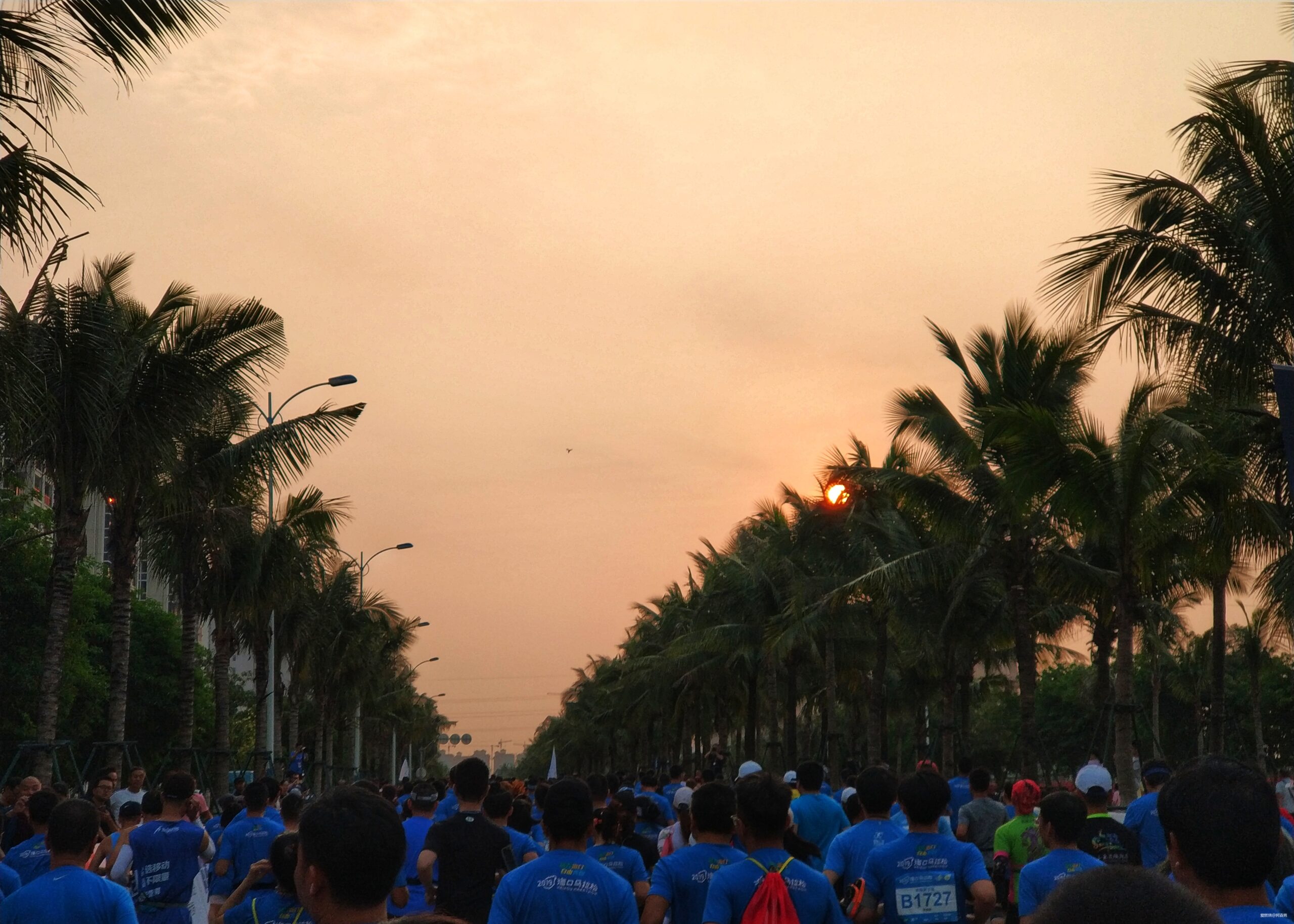 海口的诗和远方与星沉大海