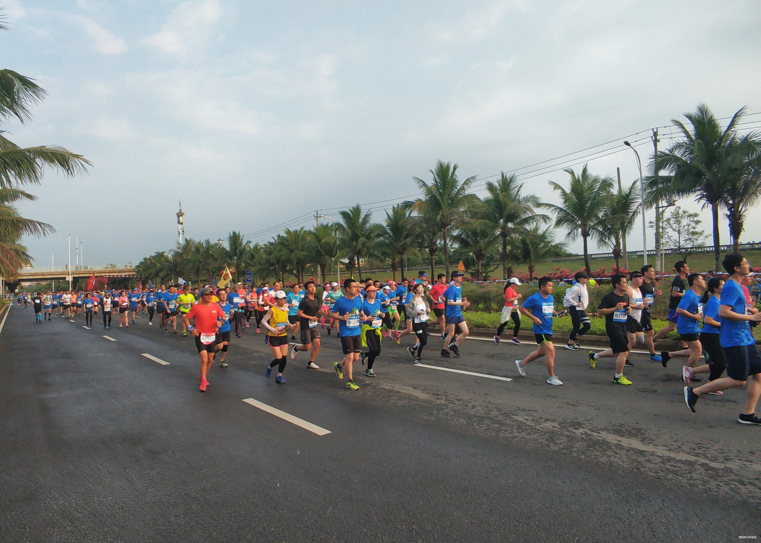 海口的诗和远方与星沉大海