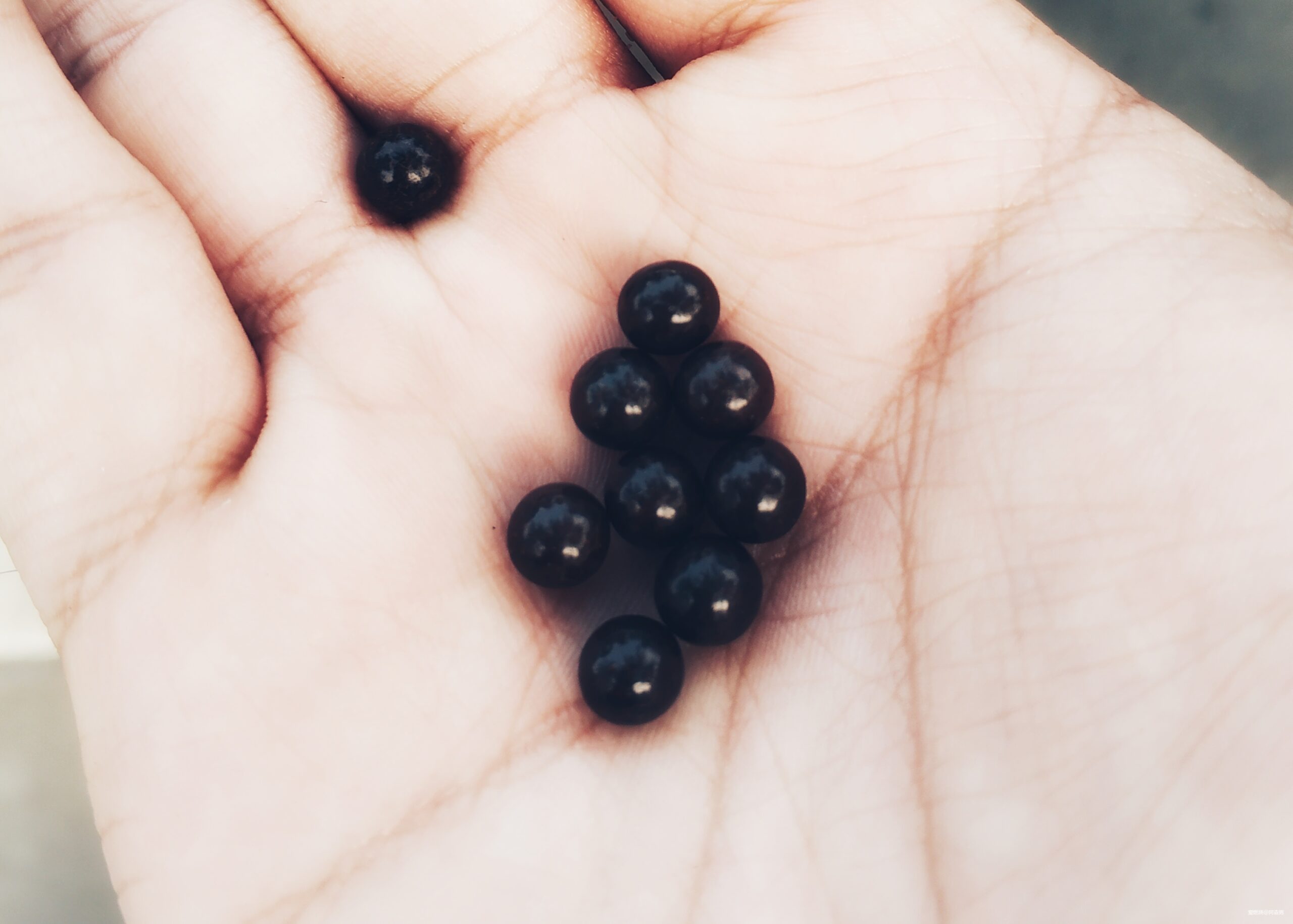 海口的诗和远方与星沉大海