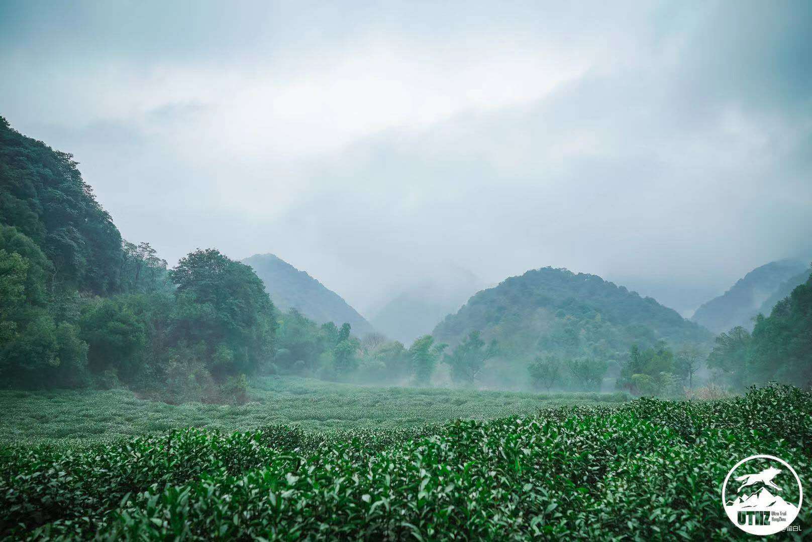 在温柔江南遇见勇猛天狼