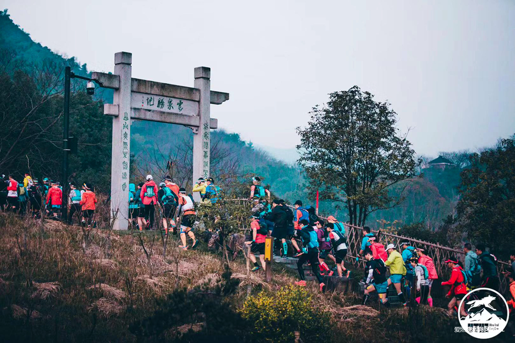 在温柔江南遇见勇猛天狼