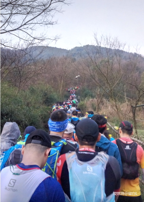 在温柔江南遇见勇猛天狼