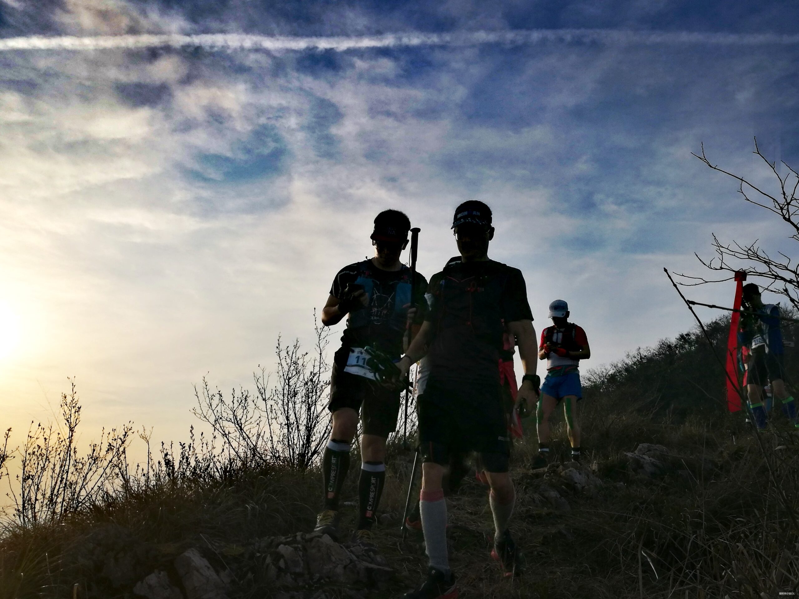 在温柔江南遇见勇猛天狼