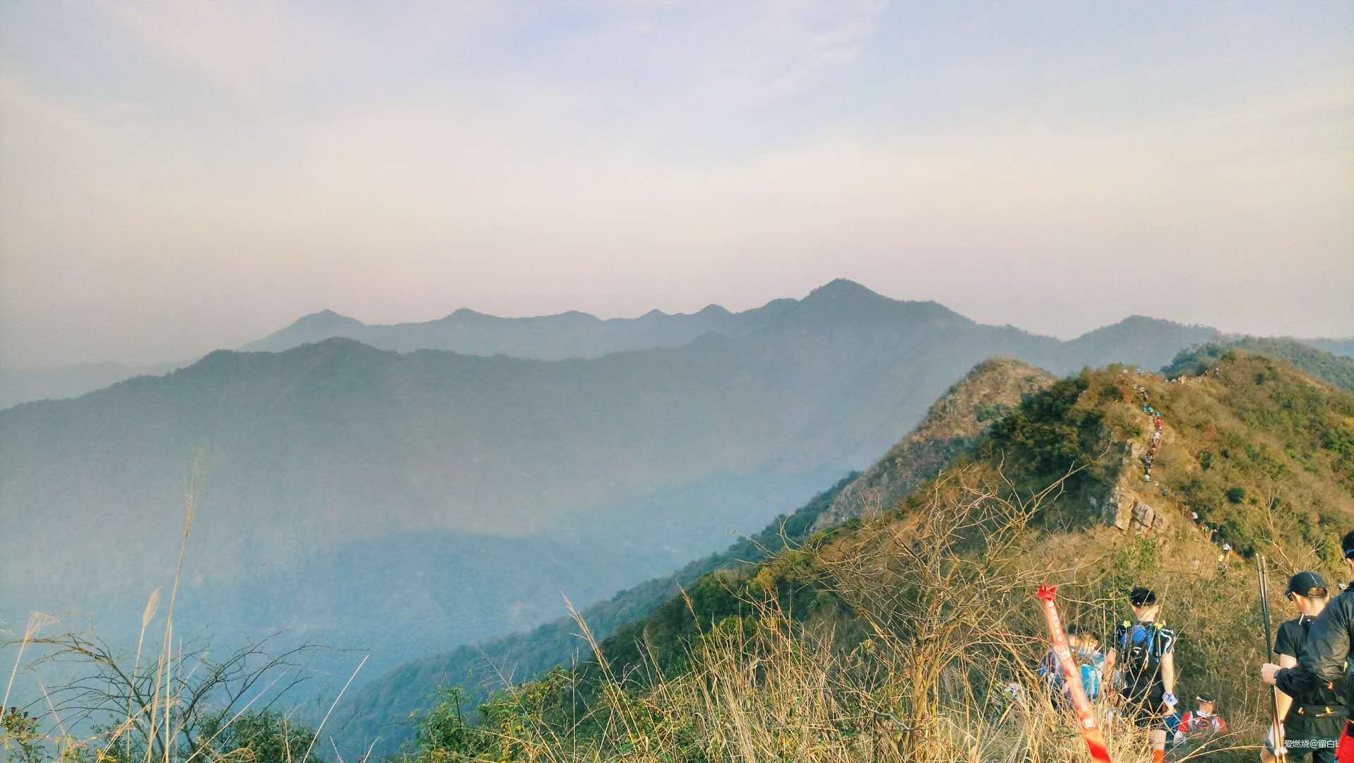 在温柔江南遇见勇猛天狼