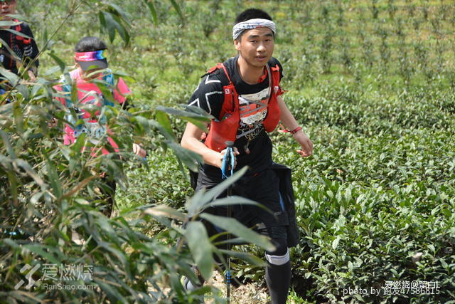 在温柔江南遇见勇猛天狼