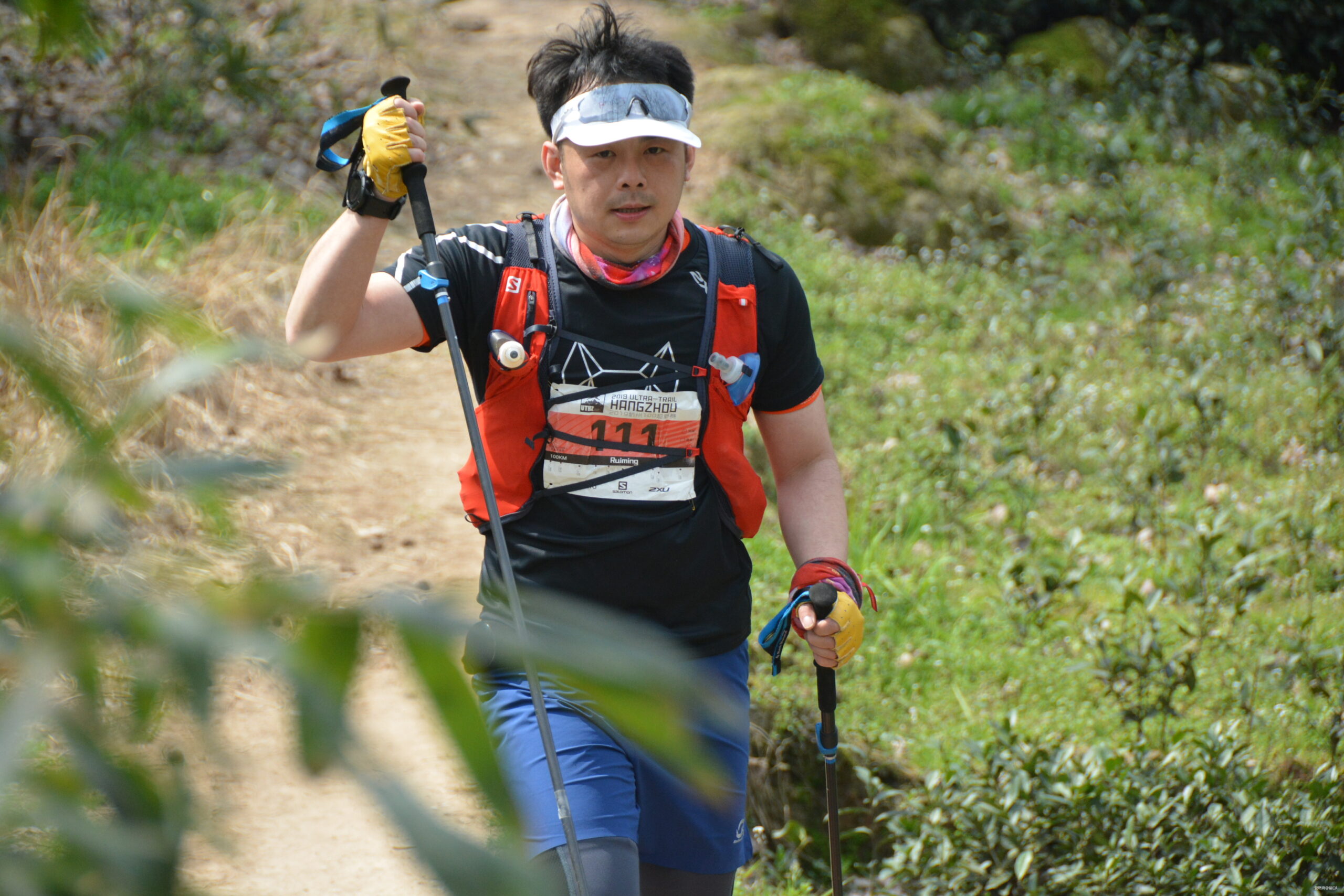 在温柔江南遇见勇猛天狼