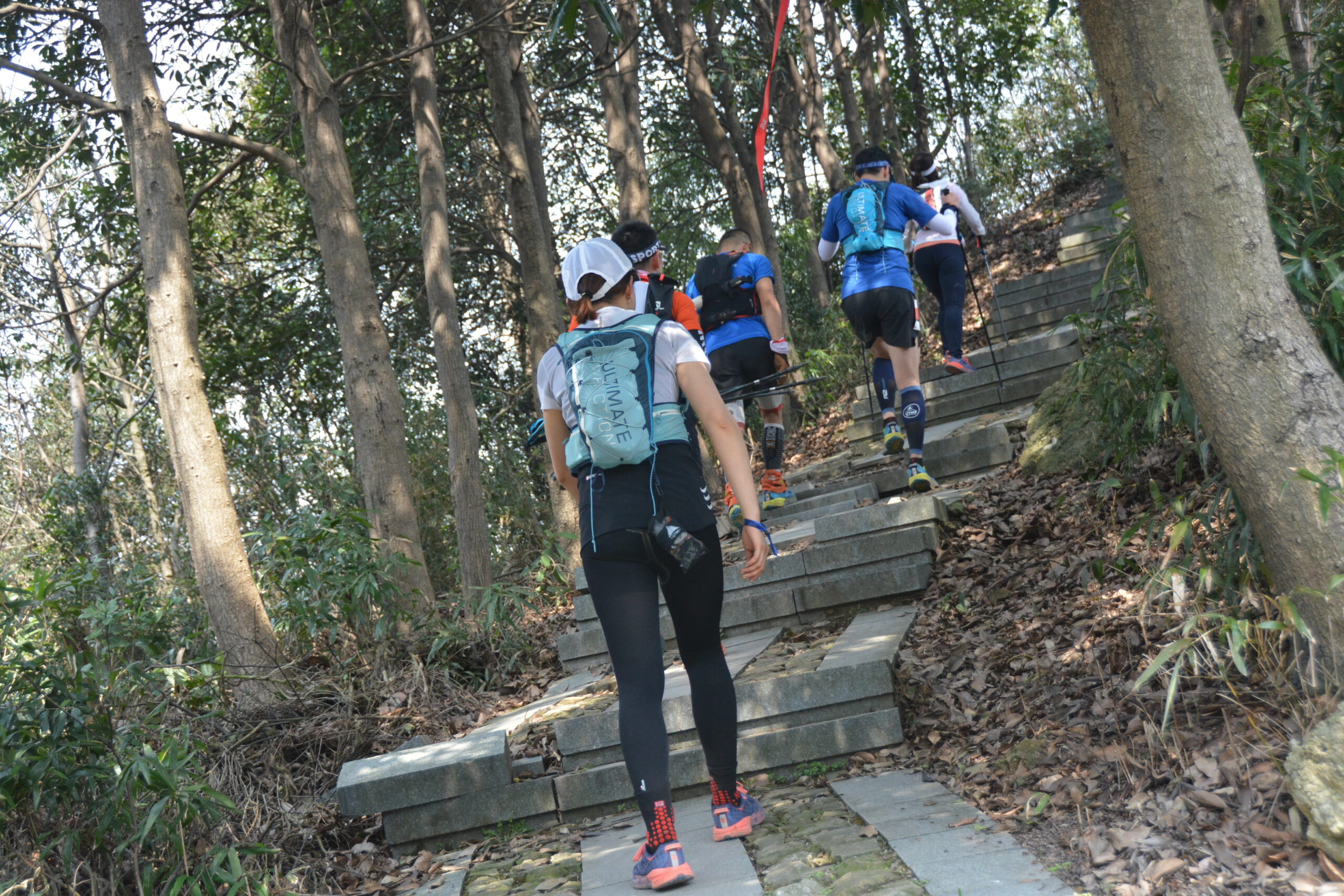 在温柔江南遇见勇猛天狼