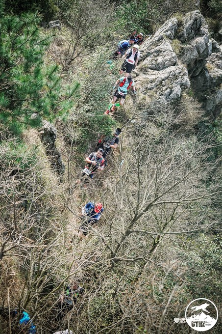 在温柔江南遇见勇猛天狼