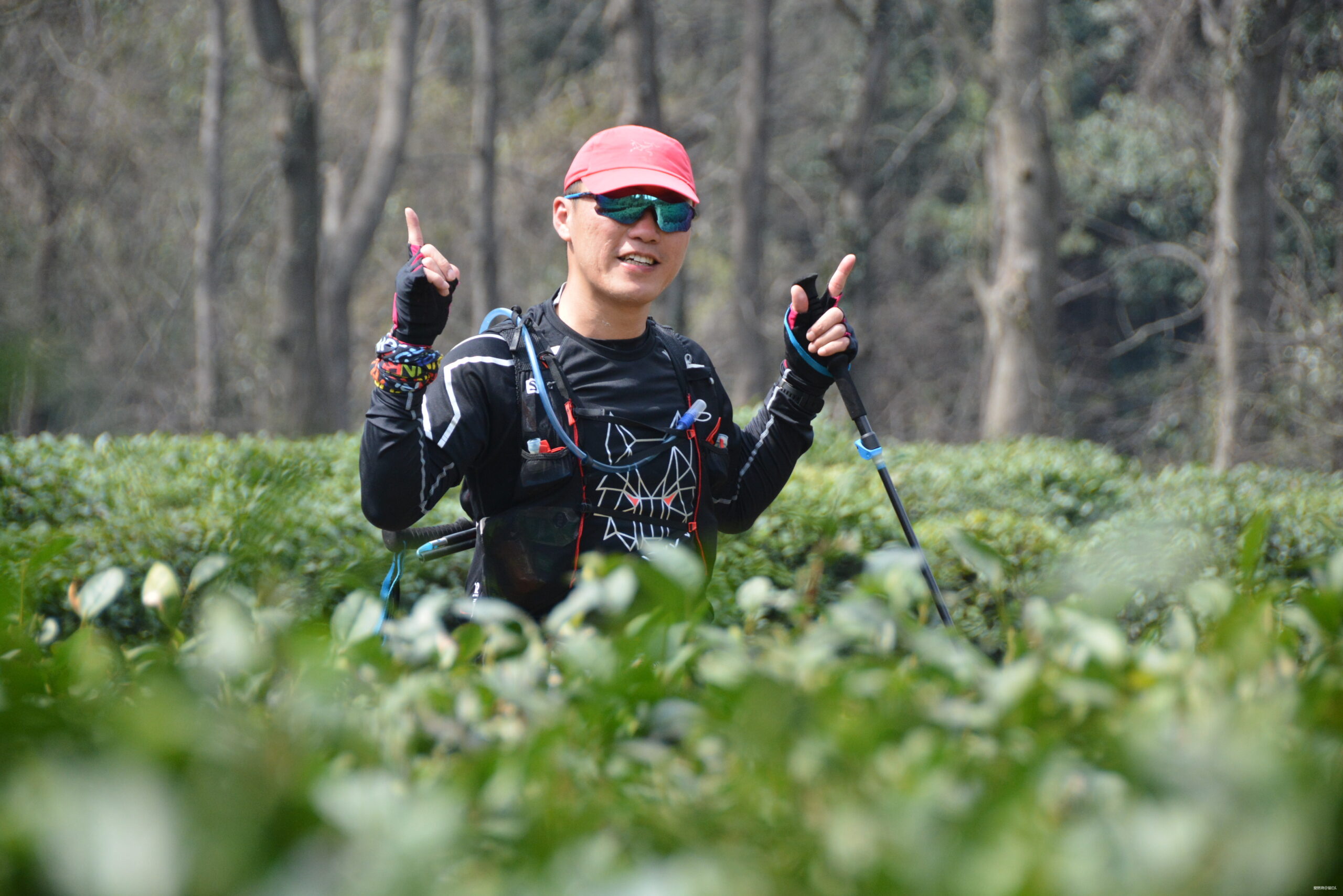 在温柔江南遇见勇猛天狼