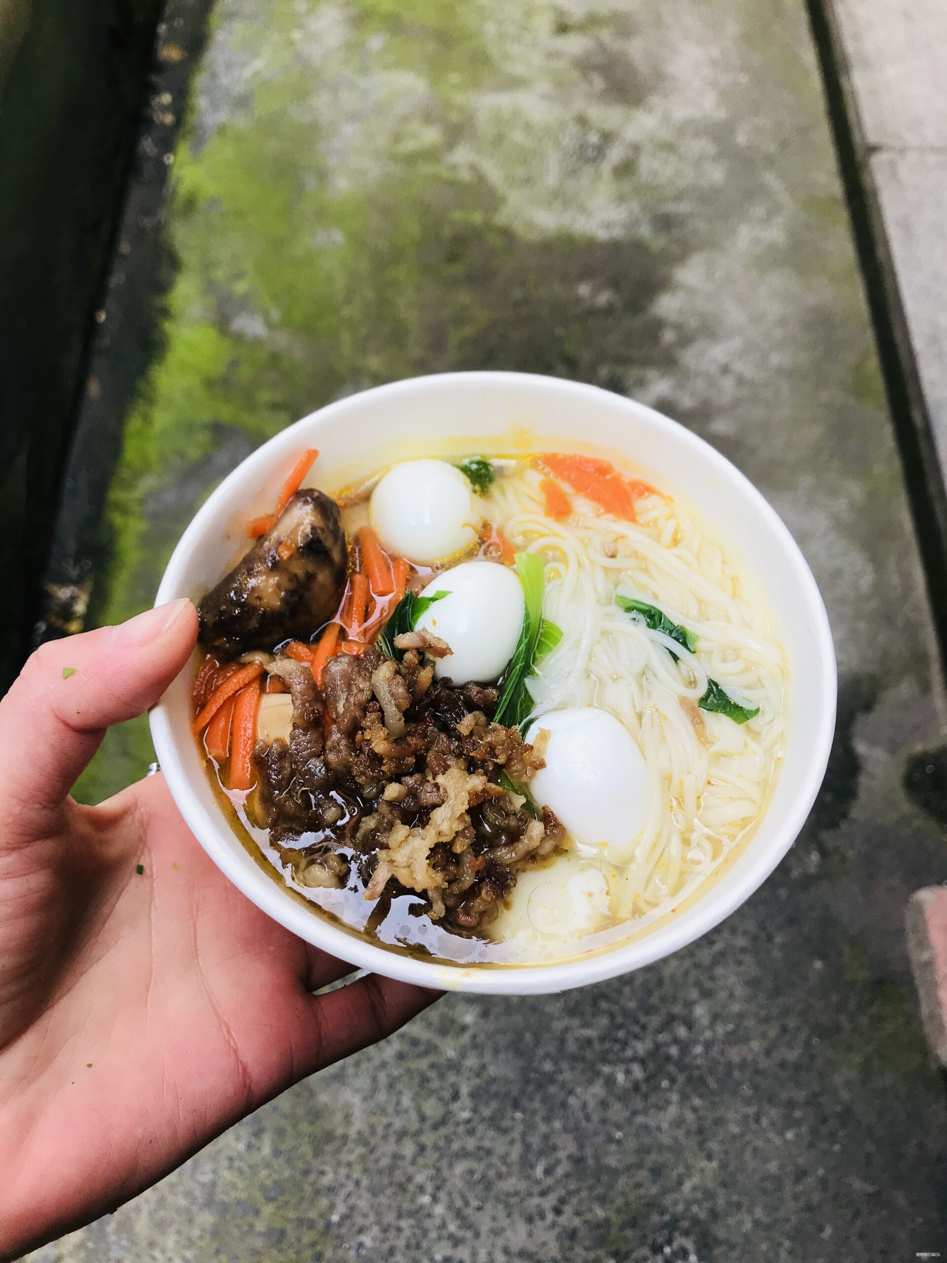 在温柔江南遇见勇猛天狼