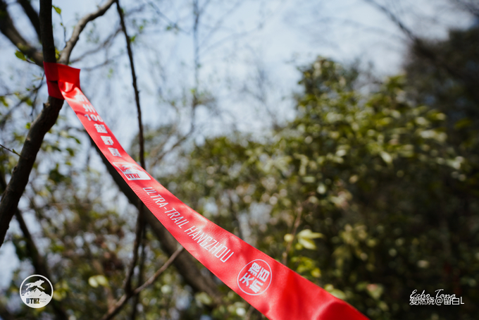 在温柔江南遇见勇猛天狼