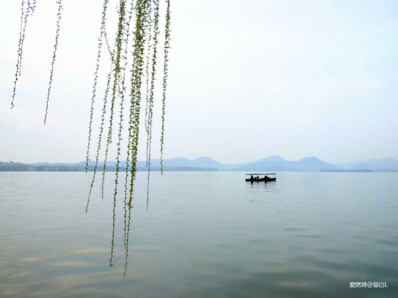 在温柔江南遇见勇猛天狼