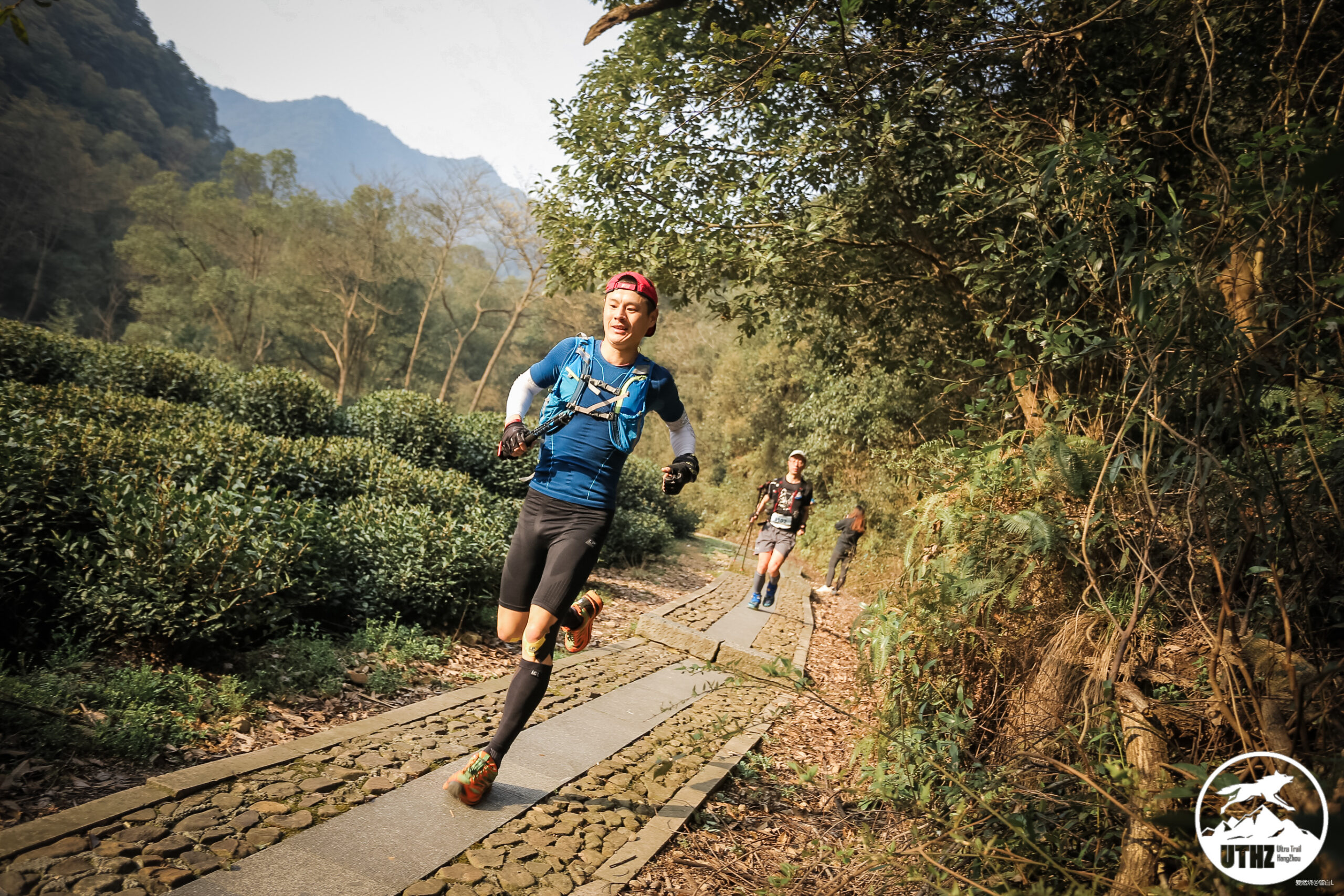 在温柔江南遇见勇猛天狼