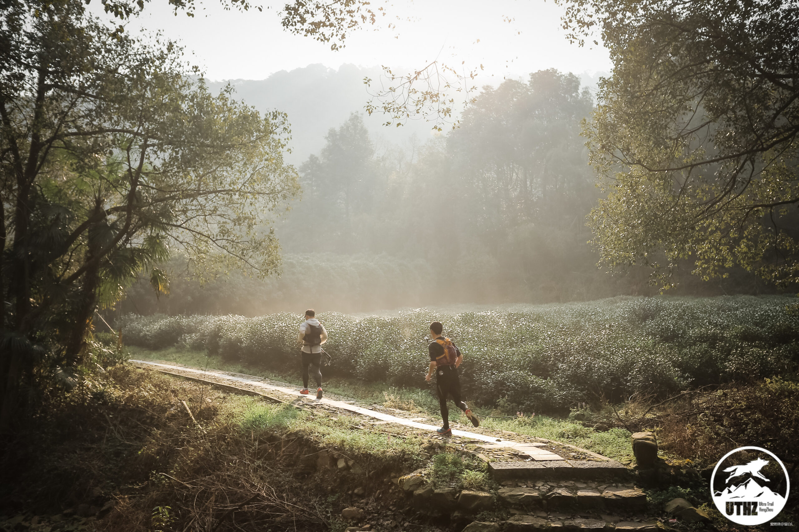 在温柔江南遇见勇猛天狼