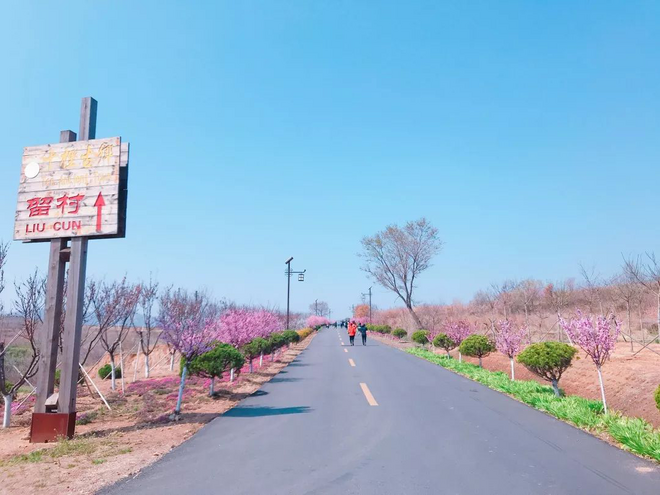 荣马训练营圆满举行，“海草房之旅”让跑友叹为观止！