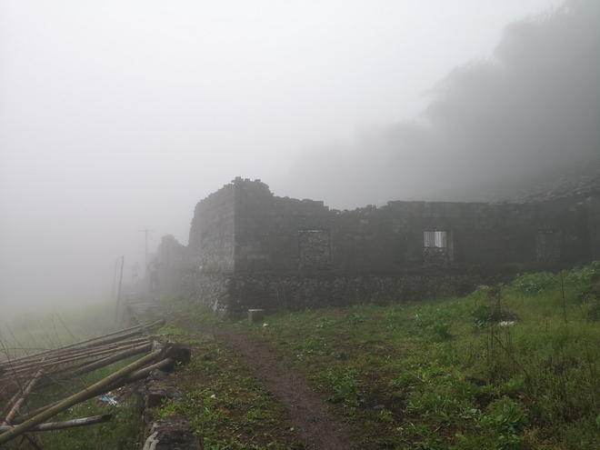 柴古唐斯 | 你可别怂啊，一起来吃柴！