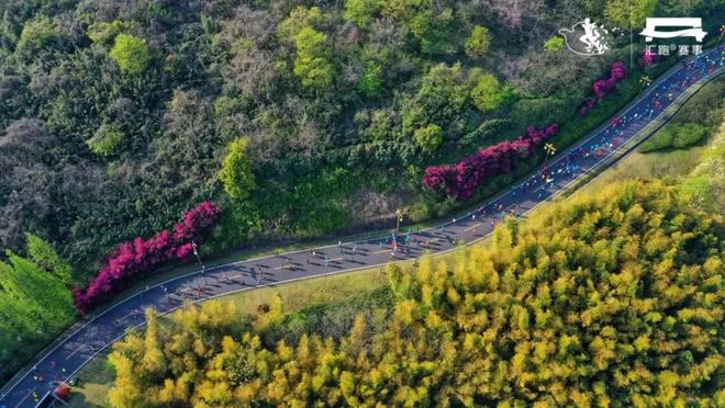 2019翡翠天元宜兴国际马拉松纪录视频：回到宜马，回到那个盎然春日