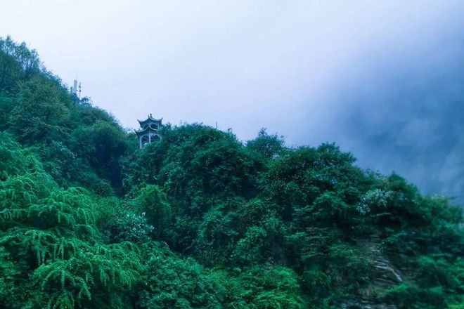风雨城墙路 | 纵横秦川八百里，阅尽长安三千年