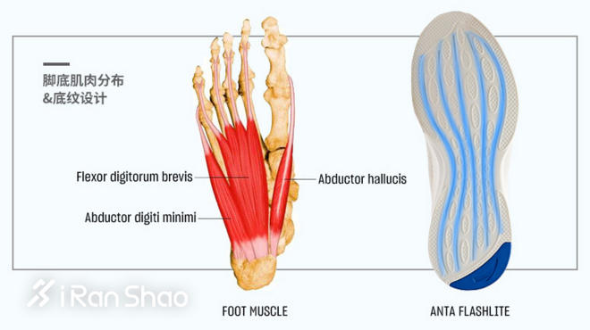 跑鞋 | “氢”舟已过万重山 FLASHLITE 安踏氢跑鞋