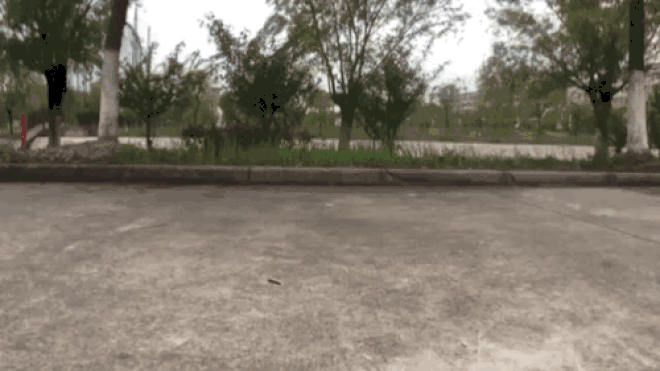 Metaride——你的节奏大师