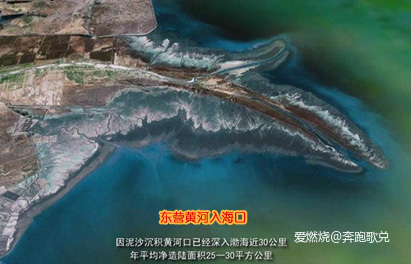 如果孙武跑东马 ——2019黄河口（东营）马拉松赛跑记