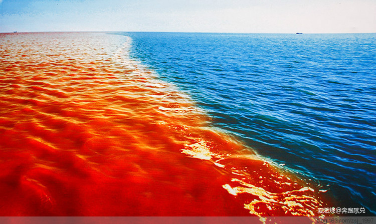 如果孙武跑东马 ——2019黄河口（东营）马拉松赛跑记