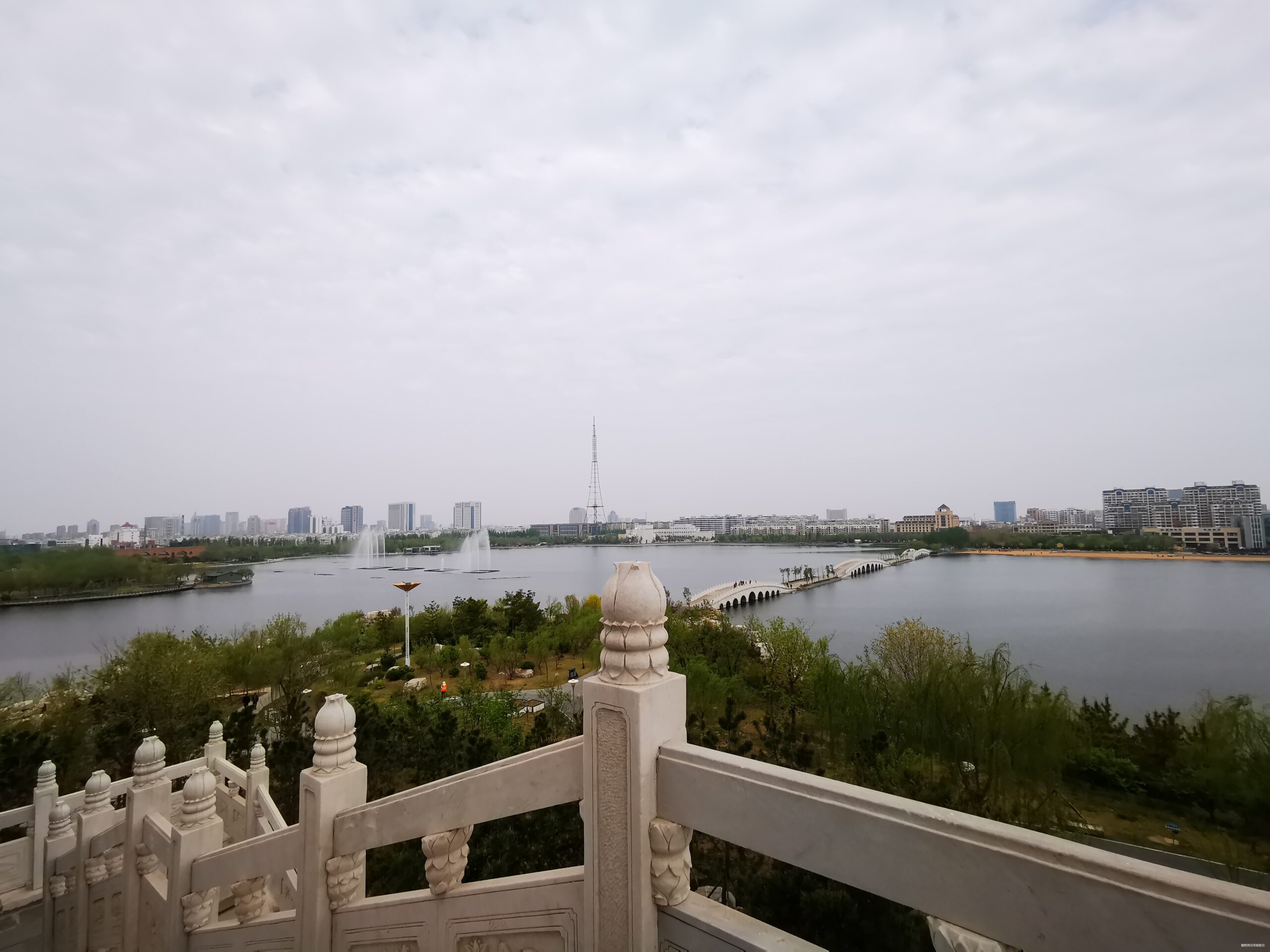 如果孙武跑东马 ——2019黄河口（东营）马拉松赛跑记