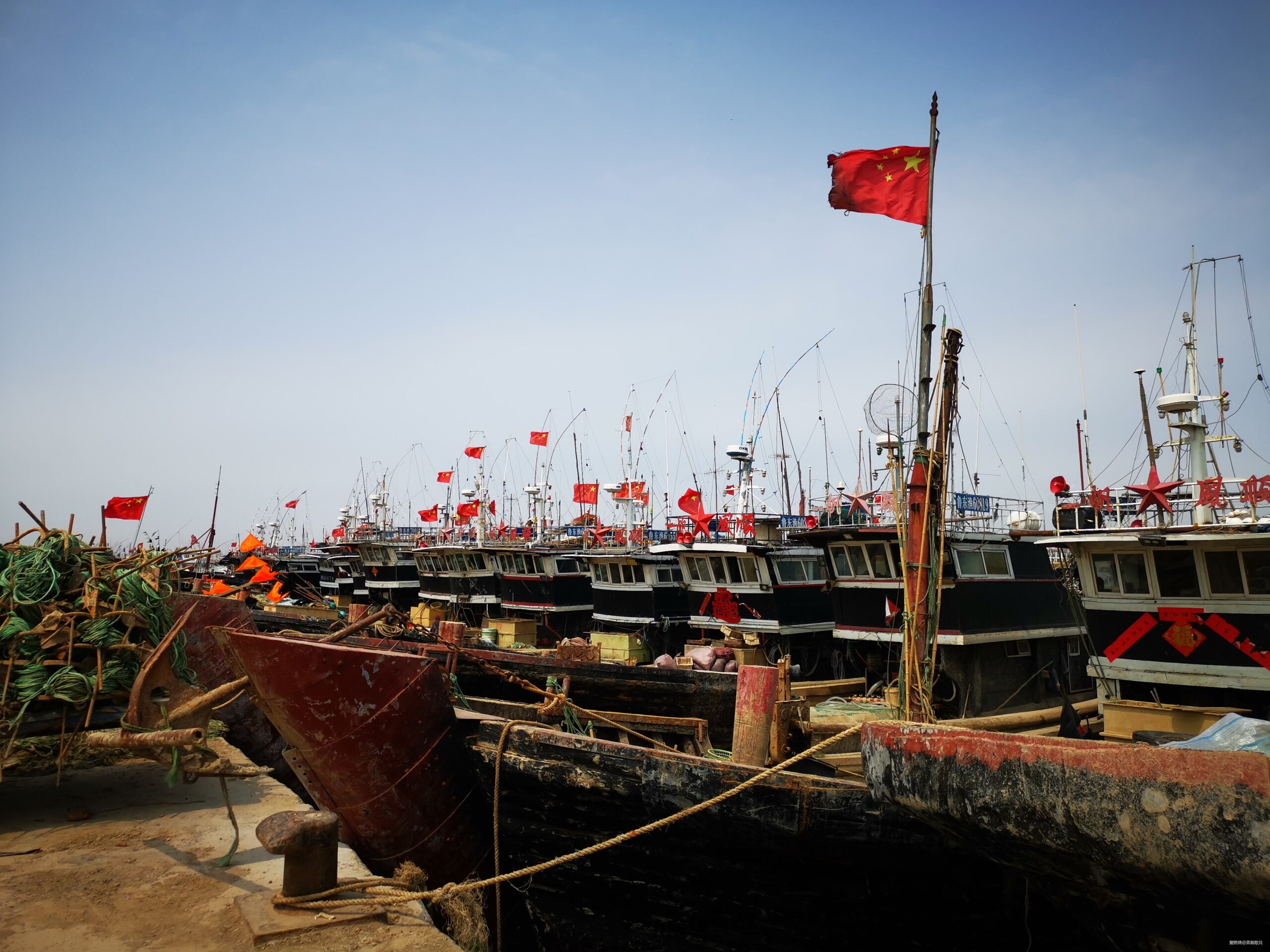 如果孙武跑东马 ——2019黄河口（东营）马拉松赛跑记