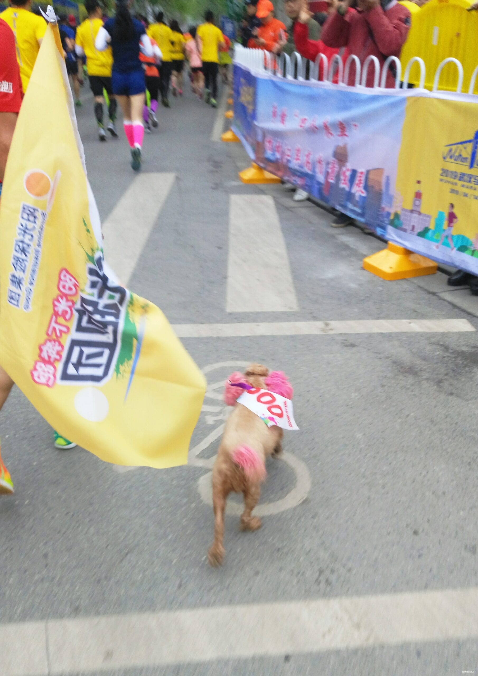 离开是为了回来——汉马三载，江湖再聚