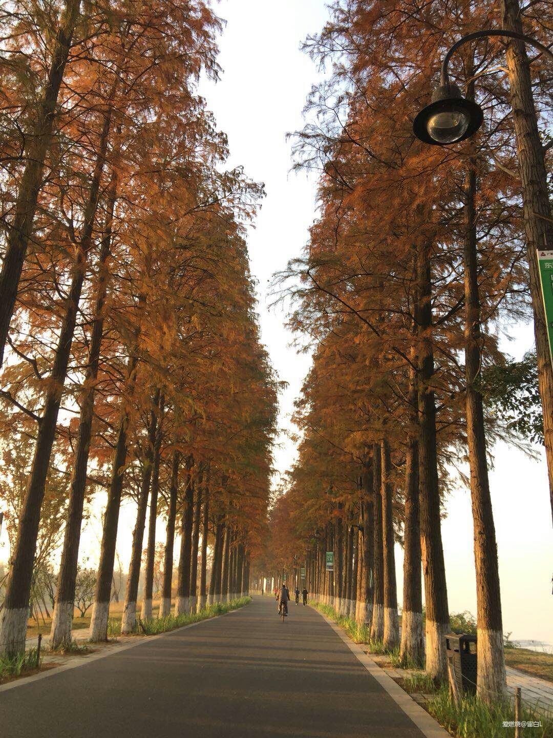 离开是为了回来——汉马三载，江湖再聚