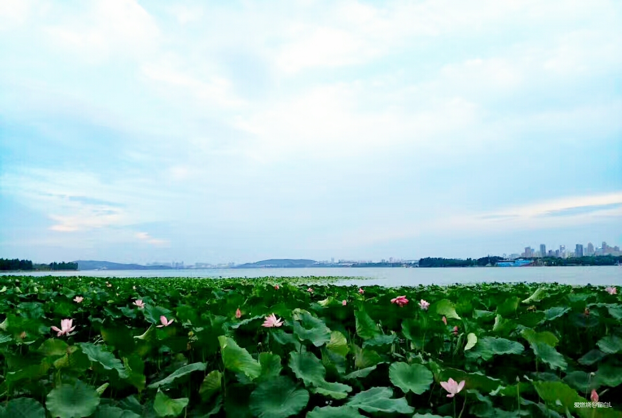 离开是为了回来——汉马三载，江湖再聚