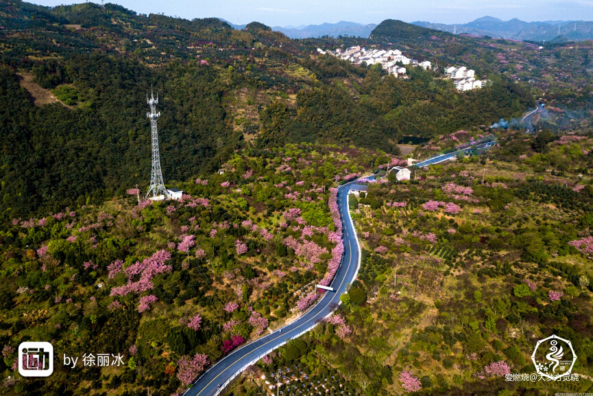 领略江南山水的极致美丽——大梦的2019江南一百越野赛记