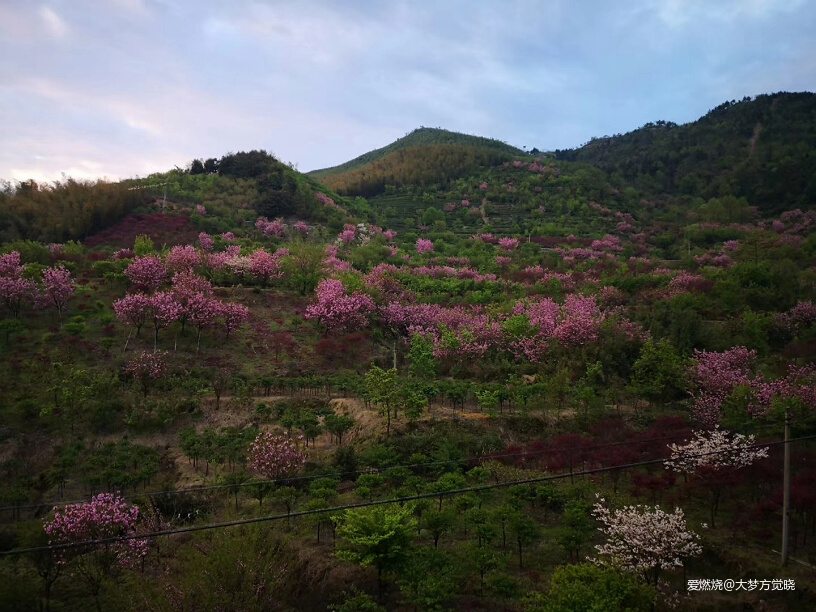 领略江南山水的极致美丽——大梦的2019江南一百越野赛记