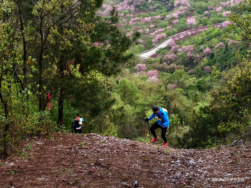 领略江南山水的极致美丽——大梦的2019江南一百越野赛记