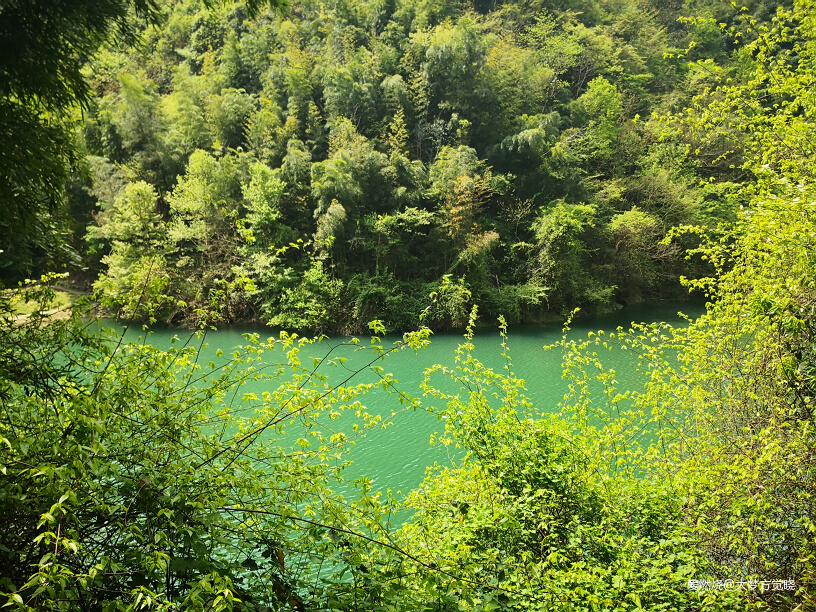 领略江南山水的极致美丽——大梦的2019江南一百越野赛记